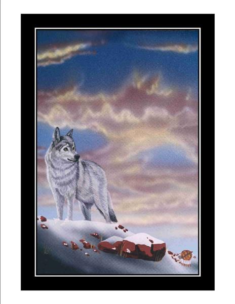 The Gray Ghost, a Gray Wolf of North America, once the most widely distributed land mammal in the Northern Hemisphere, today it numbers fewer than two thousand in the contiguous United States.  With our care, this wild hunter will survive as a symbol of true North American wilderness.
